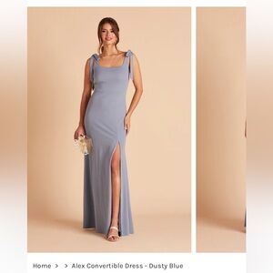 Birdy Grey - Alex Convertible Dress in Dusty Blue